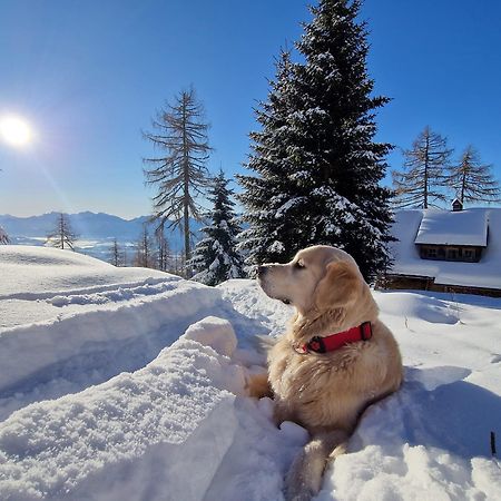 Chalet Petit Kanzelhohe Kültér fotó